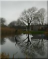 SY7891 : Sculpture by the lakes - Reflected sinuous bird sculpture by Rob Farrow