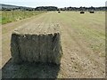 SO9137 : Large hay bales in Twyning Meadow by Philip Halling