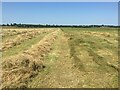 SO9137 : Haymaking in Twyning Meadow by Philip Halling