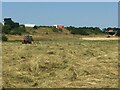 SO9137 : Haymaking beside the M5 motorway by Philip Halling