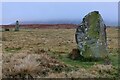 SO3098 : Standing stones at the Mitchell's Fold Stone Circle by Mat Fascione