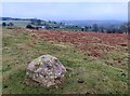 SO3098 : Stone at the Mitchell's Fold Stone Circle by Mat Fascione