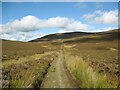 NY2829 : The Cumbria Way, Skiddaw Forest by Adrian Taylor