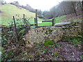 ST8799 : Stone Stile, Minchinhampton by Mr Red