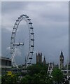 TQ3079 : Westminster from Waterloo Bridge by Lauren