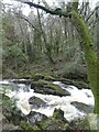 SX6357 : Rapids on the River Erme by David Smith