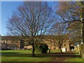 SK4663 : Cottages at Hardwick Hall by Graham Hogg