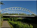 ST2224 : A3087 Tangier Way bridge, Taunton by Stephen Craven