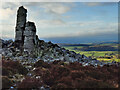 SO3698 : Rocky outcrop next to Manstone Rock by Mat Fascione