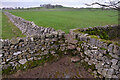 SK1967 : Stile at the corner of Four Fields, Derbyshire by Andrew Tryon