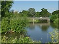 ST2325 : Firepool Weir on the river Tone by Stephen Craven