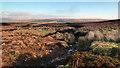 NY8307 : Looking down Stowgill Sike towards the Belah valley by Andy Waddington