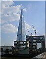 TQ3280 : The Shard by Lauren