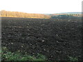 SE2815 : Recently ploughed field, above Denby Dale road by Christine Johnstone