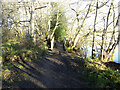 TG1838 : Approaching bridge over a stream that drains into Felbrigg Pond by David Pashley