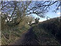 SP3468 : Mill Lane climbs to a summit east of Cubbington by Robin Stott