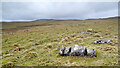 SD9366 : Limestone boulders on Tommy High Pasture by Andy Waddington