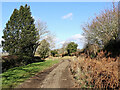 SO7692 : Byway west of Woundale in Shropshire by Roger  D Kidd