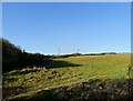 NZ1753 : Field path to White-le-Head by Robert Graham