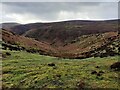 SO4395 : Carding Mill Valley on the Long Mynd by Mat Fascione