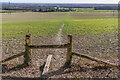 TQ6862 : Footpath to Paddlesworth Farm by Ian Capper