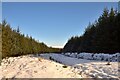 NC7613 : Snowy Forestry Track near Torr an Chlobha, Strath Brora, Sutherland by Andrew Tryon