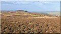 NZ6113 : Potters Ridge/Highcliffe Nab by Mick Garratt