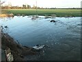 SK1019 : Flooded bank, River Blythe, Hamstall Ridware by Christine Johnstone