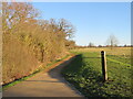 SU9675 : Path in Windsor Great Park by Malc McDonald