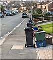 ST3091 : Three dark green wheelie bins, Larch Grove, Malpas, Newport by Jaggery