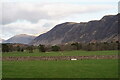 NY1203 : Wasdale by Peter Trimming