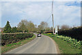 TL4447 : Thriplow: roadside daffodils by John Sutton