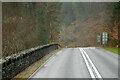 SH7753 : A470 towards Pont-y-Pant by David Dixon