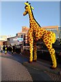 SP0586 : Lego giraffe by the Birmingham Canal by A J Paxton