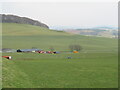 NT0639 : Wintermuir Farm  by M J Richardson