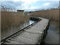 SH7977 : Boardwalk to a viewpoint, RSPB Conwy by Christine Johnstone