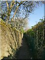 SE2234 : Path behind SILC by Stephen Craven