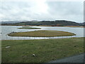 SH8077 : Island in the eastern lagoon, RSPB Conwy by Christine Johnstone