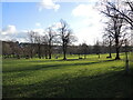 ST5971 : Victoria Park in winter sun by Neil Owen