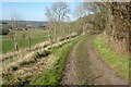 SO7466 : Bridleway and track, Abberley by Philip Halling