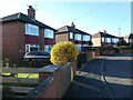 SE6005 : Forsythia in a Masefield Road front garden by Christine Johnstone