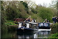 SU8503 : Chichester Canal - 200th Anniversary by Peter Trimming