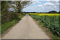 SO7841 : Farm road and oilseed rape by Philip Halling