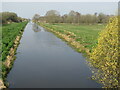 ST4241 : Shapwick Heath - South Drain by Colin Smith