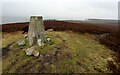 NZ0935 : Passing Knitsley Fell trig. point by Andy Waddington