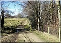 NZ0748 : Muddy dip in the track by Robert Graham