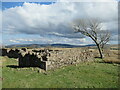 NS6238 : Remains of farm buildings at Roughhazie by Alan O'Dowd