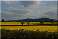 SJ3123 : View south to Breidden Hill, Woolston Bank by Christopher Hilton