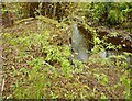 NS5574 : Pond sluice by Richard Sutcliffe