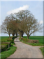 SO8496 : Farm road near Trescott in Staffordshire by Roger  D Kidd